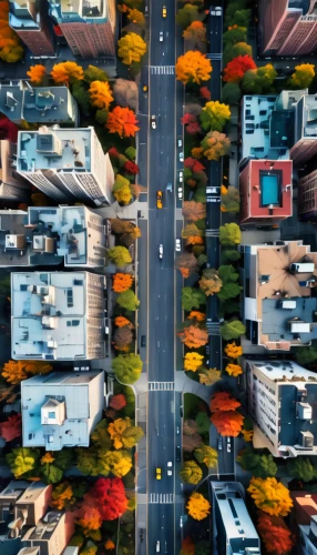 intersection,city highway,colorful city,roads,one-way street,maple road,transport and traffic,new york streets,suburban,one way street,palo alto,two way traffic,urban landscape,neighborhood,mavic 2,bus lane,crossroad,drone shot,drone image,urban