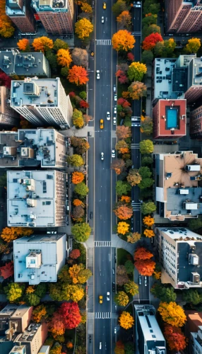 intersection,roads,maple road,city highway,one-way street,colorful city,palo alto,new york streets,suburban,one way street,two way traffic,fall colors,neighborhood,crossroad,drone shot,urban,mavic 2,bus lane,empty road,transport and traffic,Photography,General,Realistic