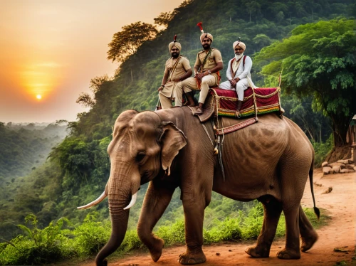 elephant ride,indian elephant,elephantine,srilanka,nomadic people,india,mahout,african elephants,elephant herd,african elephant,asian elephant,elephants,kerala,elephant camp,journey,ubud,sri lanka,elephant kid,nomadic children,travel insurance,Photography,General,Cinematic