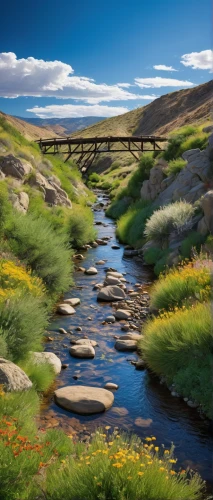 flowing creek,mountain stream,river landscape,rio grande river,low water crossing,watercourse,snake river lakes,fluvial landforms of streams,mountain river,united states national park,scenic bridge,salt meadow landscape,snake river,tied-arch bridge,stone bridge,stream bed,river cooter,salt meadows,the vishera river,arch bridge,Illustration,Retro,Retro 05