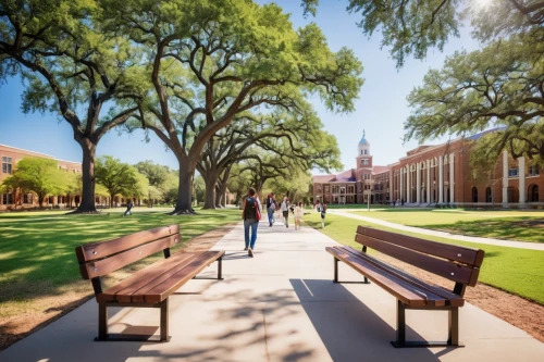 texas tech,stanford university,howard university,collegiate basilica,gallaudet university,campus,agricultural engineering,benches,school benches,north american fraternity and sorority housing,colleges,soochow university,oxford,environmental engineering,academic institution,usyd,tree lined path,research institution,tree-lined avenue,man on a bench,Unique,3D,Panoramic