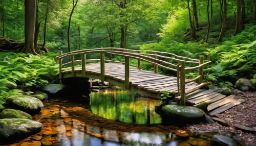 wooden bridge,log bridge,hanging bridge,germany forest,scenic bridge,footbridge,wooden path,forest path,hiking path,the mystical path,walkway,fairytale forest,winding steps,landscape designers sydney,enchanted forest,green forest,pathway,humpback bridge,aaa,hangman's bridge,Unique,3D,Modern Sculpture