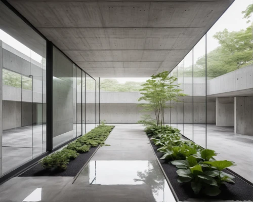 exposed concrete,archidaily,japanese architecture,concrete slabs,mirror house,concrete ceiling,cubic house,glass facade,garden of plants,glass wall,cube house,modern architecture,zen garden,japanese zen garden,concrete blocks,concrete construction,concrete wall,courtyard,hallway space,frame house,Photography,Documentary Photography,Documentary Photography 17