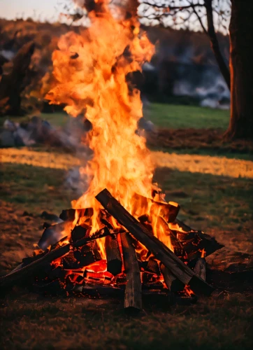 campfire,november fire,camp fire,wood fire,log fire,bonfire,easter fire,campfires,firepit,fire wood,fire ring,fire bowl,burned firewood,fire pit,burning tree trunk,fire background,burning of waste,fires,ground fire,fireside