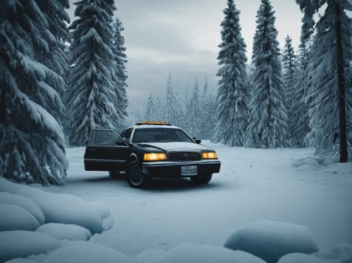 winter tires,winter background,winter wonderland,snow plow,volvo 164,snow scene,subaru outback,snowmobile,w188,christmas snowy background,coniferous forest,christmas retro car,volvo 440,snow trail,snow-capped,snowplow,saab 90,volvo xc60,winter trip,w123,Photography,Documentary Photography,Documentary Photography 08