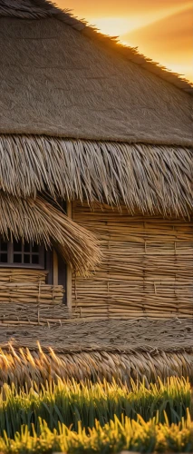 thatched roof,thatch roof,straw hut,straw roofing,thatch roofed hose,thatching,thatched cottage,straw bale,thatch umbrellas,ricefield,grass roof,rice field,straw bales,traditional house,bed in the cornfield,straw field,the rice field,rice fields,thatch,reed grass,Illustration,Abstract Fantasy,Abstract Fantasy 03