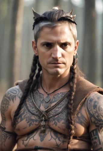 maori,male elf,barbarian,drago milenario,germanic tribes,carpathian,shaman,warrior east,the american indian,male character,tribal chief,aborigine,runes,mohawk hairstyle,vikings,pagan,bordafjordur,cullen skink,shamanism,witcher,Photography,Cinematic