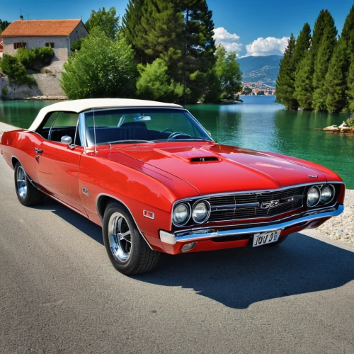 plymouth road runner,ford torino,plymouth barracuda,dodge super bee,muscle car,chevrolet chevelle,dodge challenger,mercury cyclone,amc javelin,american muscle cars,pontiac gto,ford falcon gt,dodge dart,dodge charger,plymouth duster,dodge,dodge d series,american classic cars,ford maverick,oldsmobile 442,Photography,General,Realistic