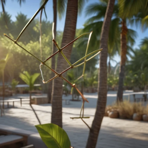 3d rendering,palm fronds,coconut palm tree,palm leaves,coconut tree,3d render,3d rendered,hanging plant,beach grass,coconut palm,palm tree vector,render,palm tree,palm spider,palmtree,tropical tree,palm field,scaphosepalum,palm leaf,climbing plant,Photography,General,Realistic