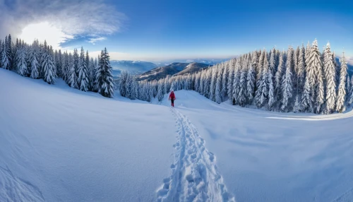 backcountry skiiing,ski touring,snow trail,kicking horse,telemark skiing,snowshoe,alpine meadows,july pass,ski mountaineering,cross-country skiing,sunshinevillage,snow slope,snow cornice,steep,powder,cross country skiing,360 ° panorama,christmas skiing,skiing,alpine skiing,Photography,General,Realistic