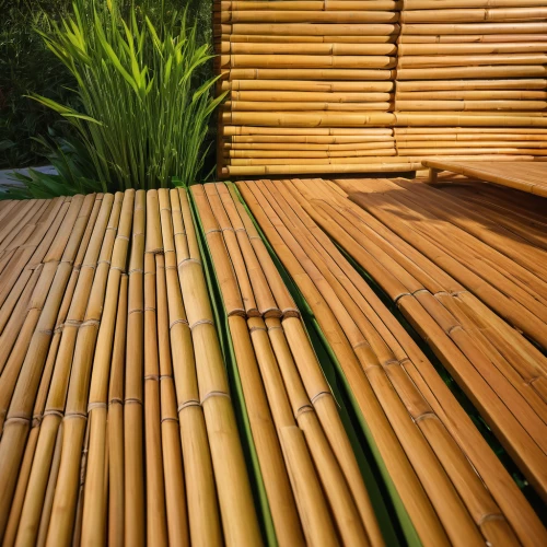 bamboo curtain,bamboo plants,bamboo,hawaii bamboo,bamboo forest,bamboo frame,straw roofing,bamboo flute,rattan,palm leaf,lemongrass,sugarcane,wooden decking,palm fronds,incense sticks,wooden sticks,sugar cane,citronella,bamboo car,traditional vietnamese musical instruments,Art,Classical Oil Painting,Classical Oil Painting 33