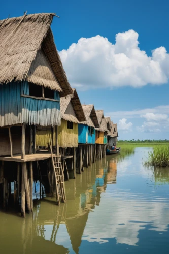 stilt houses,stilt house,inle lake,floating huts,rice fields,the rice field,ricefield,cube stilt houses,rice paddies,rice field,mud village,fishing village,the danube delta,paddy field,wooden houses,the shrimp farm,moated,house with lake,backwaters,southeast asia,Illustration,Black and White,Black and White 23