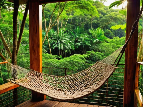 hammock,hammocks,canopy walkway,porch swing,canopy bed,hanging chair,ubud,tree house hotel,tropical jungle,garden swing,bamboo curtain,relaxation,rainforest,costa rica,hanging swing,peacefulness,wooden swing,rain forest,belize,tropical house,Conceptual Art,Oil color,Oil Color 06