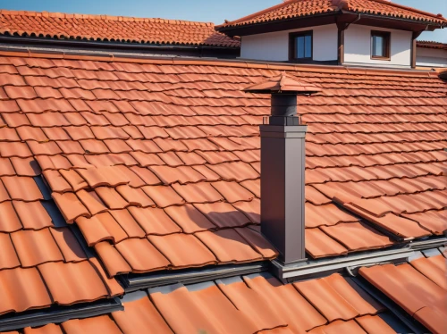 roof tiles,roof tile,tiled roof,roof plate,roof landscape,house roofs,clay tile,house roof,roofing,metal roof,roof panels,slate roof,roofing work,turf roof,roofline,folding roof,patriot roof coating products,terracotta tiles,flat roof,roof structures,Illustration,Japanese style,Japanese Style 20