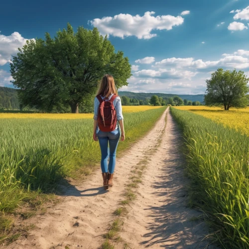 girl walking away,woman walking,online path travel,landscape background,walk,leaving your comfort zone,go for a walk,pathway,travel woman,walking,background view nature,spring background,springtime background,girl in a long,passepartout,i walk,walk with the children,suitcase in field,homeopathically,footpath,Photography,General,Realistic