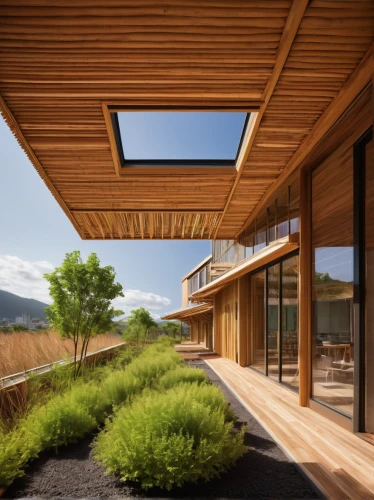 wooden roof,roof landscape,folding roof,grass roof,timber house,corten steel,wooden decking,archidaily,japanese architecture,wooden beams,dunes house,wooden windows,daylighting,turf roof,eco-construction,wooden house,laminated wood,eco hotel,wood deck,californian white oak,Photography,Fashion Photography,Fashion Photography 08