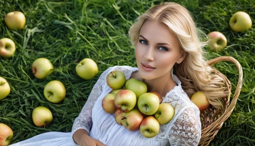 woman eating apple,argan tree,picking apple,argan trees,girl picking apples,argan,edible fruit,pear cognition,green apples,grape seed oil,apple harvest,organic fruits,kiwifruit,grape seed extract,natural cosmetics,almond oil,apple orchard,fresh fruits,indian almond,fruit trees,Photography,General,Realistic