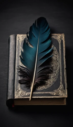 spiral book,black feather,bookmark with flowers,magic book,raven's feather,scrape book,bookmark,burnt pages,book antique,magic grimoire,book pages,twitter bird,book mark,gramophone,feather,3d crow,bird feather,black rose,plume,writing-book,Photography,Artistic Photography,Artistic Photography 13