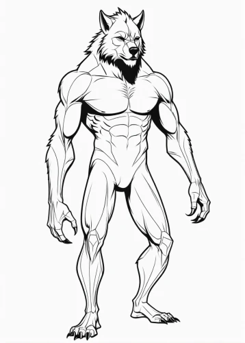 werewolf,line art animal,muscular,bodybuilder,body building,wolf,male poses for drawing,line-art,bodybuilding,dog line art,minotaur,muscular build,line art,brute,wolverine,werewolves,wolf bob,lineart,wolfman,anabolic,Illustration,Black and White,Black and White 04