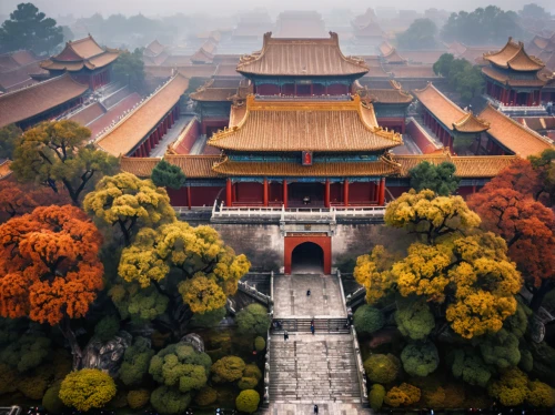 hall of supreme harmony,chinese architecture,chinese temple,beijing,beijing or beijing,xi'an,forbidden palace,asian architecture,china,yunnan,temple of heaven,hanging temple,nanjing,summer palace,huangshan maofeng,buddhist temple,chinese background,zhangjiajie,the golden pavilion,huangshan mountains,Photography,General,Cinematic