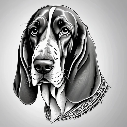 basset hound,bluetick coonhound,bloodhound,coonhound,english coonhound,german shorthaired pointer,dog illustration,black and tan coonhound,redbone coonhound,basset bleu de gascogne,german longhaired pointer,gordon setter,dog line art,treeing walker coonhound,dog drawing,mudhol hound,bassett,field spaniel,vector illustration,german wirehaired pointer,Photography,General,Realistic