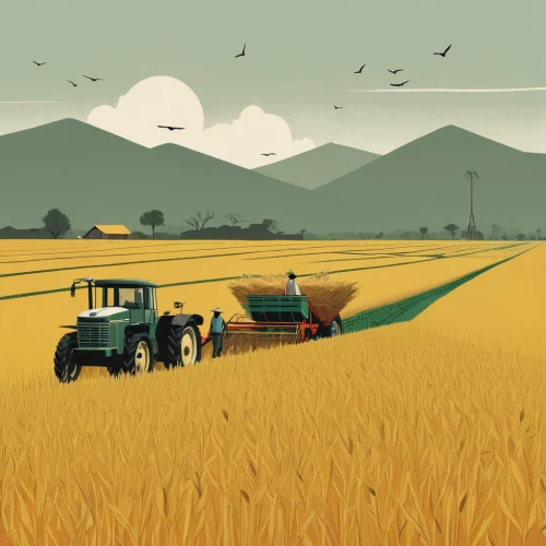 wheat crops,wheat field,wheat fields,field of cereals,grain harvest,grain field,winter wheat,barley field,farm landscape,combine harvester,seed wheat,agriculture,straw harvest,wheat,cropland,agricultural,grain field panorama,farming,wheat grain,wheat grasses,Illustration,Japanese style,Japanese Style 08