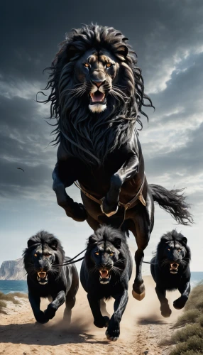 lions,affenpinscher,king kong,monkey gang,to roar,panthera leo,skeezy lion,tibetan mastiff,pekingese,lion king,lion children,grizzlies,lion,lionesses,roaring,male lions,lion head,kong,canis panther,masai lion,Conceptual Art,Fantasy,Fantasy 11