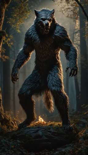werewolf,wolfman,werewolves,forest animal,forest man,wolverine,bushmeat,woodsman,north american raccoon,nordic bear,anthropomorphized animals,woodland animals,king kong,digital compositing,forest king lion,cave man,prehistory,wicket,raccoon,druid,Photography,General,Fantasy