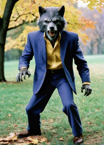 rocket raccoon,suit actor,grey fox,north american raccoon,raccoon,wolverine,raccoons,cleanup,run,fox hunting,suit,a black man on a suit,kung fu,aaa,badger,wolf bob,mozilla,south american gray fox,fox,the suit,Photography,Black and white photography,Black and White Photography 06