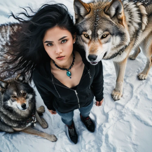 wolves,wolf pack,huskies,wolf hunting,two wolves,icelandic sheepdog,sled dog,wolfdog,alaskan klee kai,sakhalin husky,canadian eskimo dog,wolf,dog sled,bohemian shepherd,husky,werewolves,saarloos wolfdog,canis lupus,wolf couple,carpathian shepherd dog,Photography,Documentary Photography,Documentary Photography 08