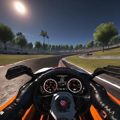 race track,ultima gtr,radical sr8,raceway,racing video game,formula racing,cockpit,auto race,auto racing,racetrack,car racing,racing road,sports car racing,california raceway,racing wheel,motorsport,go-kart,oval track,circuit,steering wheel,Illustration,Black and White,Black and White 21