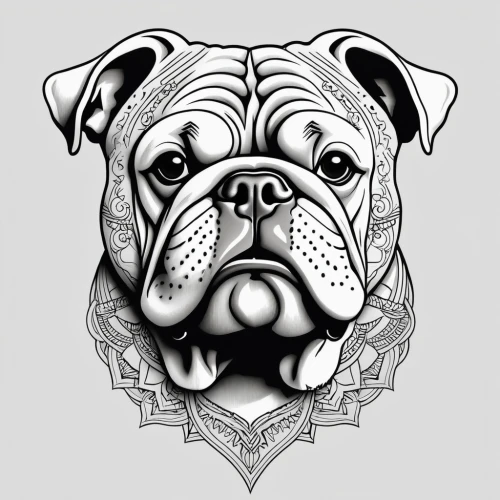 english bulldog,old english bulldog,white english bulldog,bulldog,dog illustration,olde english bulldogge,vector illustration,dog line art,continental bulldog,renascence bulldogge,dorset olde tyme bulldogge,vector graphic,line art animal,british bulldogs,adobe illustrator,neapolitan mastiff,french bulldog,american bulldog,australian bulldog,catahoula bulldog,Photography,General,Realistic