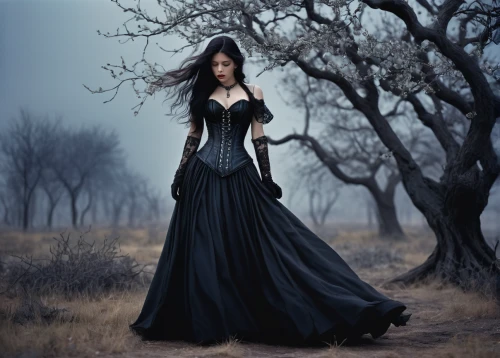 gothic dress,gothic woman,gothic fashion,gothic style,gothic portrait,dark gothic mood,gothic,goth woman,dark angel,blue enchantress,sorceress,girl in a long dress,the enchantress,victorian lady,evening dress,dress walk black,ball gown,queen of the night,lady of the night,fantasy picture,Photography,Documentary Photography,Documentary Photography 15