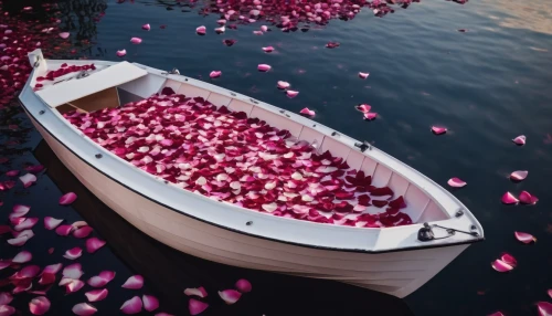 rose petals,boat landscape,rose water,row boat,flower water,row-boat,rowboat,fallen petals,rowing boat,romantic rose,rowboats,pink water lilies,sea of flowers,petals of perfection,rowing-boat,row boats,paddle boat,wooden boat,water boat,pontoon boat,Photography,General,Cinematic