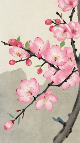 plum blossoms,plum blossom,oriental painting,peach blossom,almond blossoms,japanese floral background,japanese art,apricot blossom,cherry blossom branch,takato cherry blossoms,chinese magnolia,japanese cherry blossom,almond blossom,apricot flowers,cherry blossom japanese,chinese art,the cherry blossoms,spring blossoms,blossoms,spring blossom