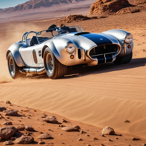 shelby cobra,ford shelby cobra,ac cobra,ford shelby cobra concept,shelby,weineck cobra limited edition,american sportscar,desert racing,maserati 300s,bmw 328,roadster 75,bmw 327,daimler sp250,dodge m37,panoz roadster,maserati 200s,maserati tipo 61,300sl,300 sl,auburn speedster,Photography,General,Realistic