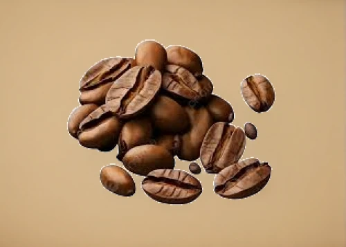 almond nuts,walnut,cocoa beans,walnuts,pecan,mixed nuts,hazelnuts,hazelnut,salted almonds,brazil nut,almond,nuts & seeds,pine nuts,indian almond,cloves schwindl inge,pralines,almonds,unshelled almonds,chocolate-covered coffee bean,coffee beans