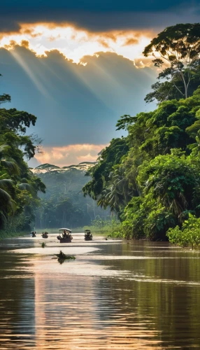 river nile,river landscape,nile river,amazonian oils,herman national park,lake victoria,aura river,guyana,cameroon,paraguayian guarani,conguillío national park,mekong river,river of life project,democratic republic of the congo,northeast brazil,east africa,congo,backwaters,mozambique,guanabá real,Photography,General,Realistic