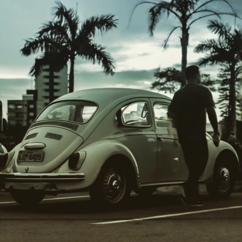 volkswagen beetle,volkswagen new beetle,vw beetle,volkswagen brasilia,the beetle,vintage couple silhouette,morris minor 1000,morris minor,e-car in a vintage look,porsche 356,vintage cars,vintage car,porsche 356/1,2cv,jaguar mark 1,vintage vehicle,jaguar mark 2,beetle,retro automobile,classic car and palm trees