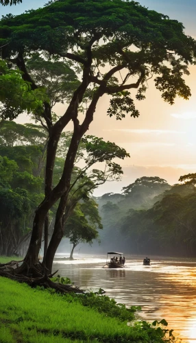 river nile,lake victoria,nile river,river landscape,boat landscape,vietnam,backwaters,srilanka,gambia,mekong river,cameroon,east africa,eastern mangroves,an island far away landscape,old wooden boat at sunrise,liberia,democratic republic of the congo,nile,background view nature,africa,Photography,General,Realistic