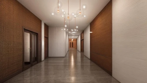 hallway space,hallway,corridor,contemporary decor,interior modern design,room divider,walk-in closet,search interior solutions,recessed,ceiling lighting,ceiling light,hotel hall,concrete ceiling,3d rendering,hardwood floors,wall light,wall lamp,ceramic floor tile,track lighting,modern decor,Common,Common,Natural