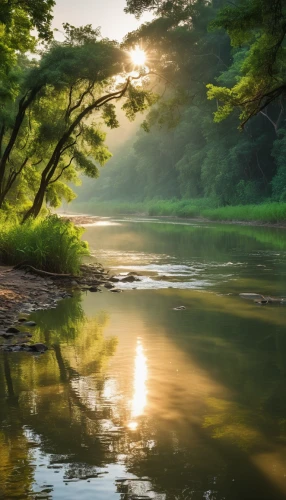 river landscape,morning mist,raven river,flowing creek,nature landscape,tranquility,japan landscape,mountain river,natural scenery,beautiful landscape,calm water,south korea,a river,background view nature,potomac river,clear stream,freshwater marsh,landscape nature,green trees with water,green landscape,Photography,General,Realistic