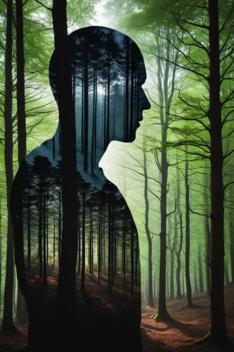 sci fiction illustration,forest man,mirror house,forest background,the forests,digital compositing,the forest,forest of dreams,mystery book cover,image manipulation,world digital painting,self hypnosis,haunted forest,photo manipulation,digital artwork,the woods,digital illustration,parallel worlds,book illustration,abduction,Photography,Artistic Photography,Artistic Photography 11