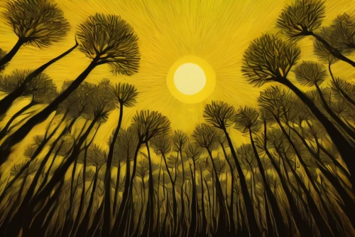 sunburst background,yellow grass,bamboo forest,forest landscape,deciduous forest,swampy landscape,dandelion background,dandelion field,pine forest,tree grove,copse,golden trumpet trees,larch forests,spruce forest,pine trees,larch trees,golden sun,birch forest,forest of dreams,dandelion meadow,Conceptual Art,Daily,Daily 02