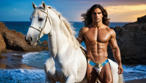 arabian horse,man and horses,horse herder,arabian horses,spanish stallion,thoroughbred arabian,horse trainer,horseback,stallion,equestrian,wild horse,conquistador,andalusians,horsemanship,horseback riding,horse tack,belgian horse,equestrianism,horseman,centaur,Photography,General,Commercial