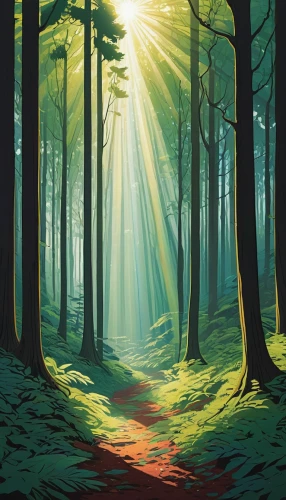 forest landscape,forest background,holy forest,coniferous forest,forest,forest of dreams,fir forest,forest glade,green forest,forest path,germany forest,pine forest,enchanted forest,deciduous forest,the forest,forest road,forests,temperate coniferous forest,fairytale forest,spruce forest,Illustration,Vector,Vector 02