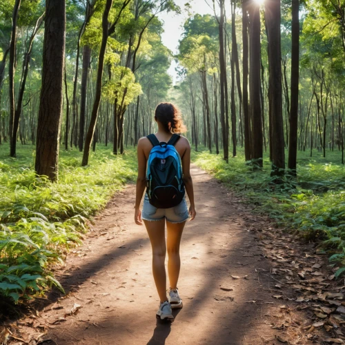 forest walk,girl walking away,woman walking,online path travel,girl with tree,nature trail,forest background,tropical and subtropical coniferous forests,forest path,people in nature,backpacker,backpacking,hiking equipment,hiking path,walk in a park,tree lined path,go for a walk,free wilderness,pathway,hiking,Photography,General,Realistic