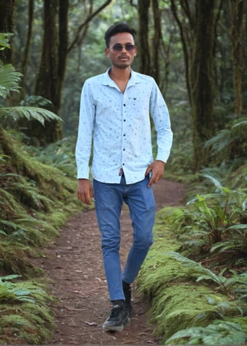 forest background,valdivian temperate rain forest,forest walk,social,in the forest,devikund,amitava saha,nature park,forest man,live in nature,nature and man,natural park,forest workplace,nice nature,holy forest,greenforest,forest,forest ground,background view nature,forests