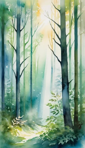 watercolor background,forest background,forest landscape,green forest,fairy forest,elven forest,forest glade,forests,forest,coniferous forest,landscape background,fir forest,foggy forest,forest of dreams,holy forest,the forests,the forest,watercolor painting,enchanted forest,watercolor,Illustration,Paper based,Paper Based 25