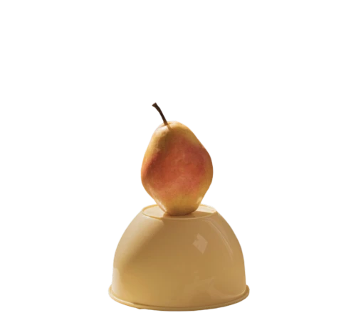 golden apple,bell apple,quince decorative,copper rock pear,beeswax candle,quince cheese,pear,asian pear,apricot,pear cognition,marzipan,indian jujube,candle holder with handle,candle holder,worm apple,a fruit chestnut,rock pear,apricot kernel,marzipan figures,votive candle